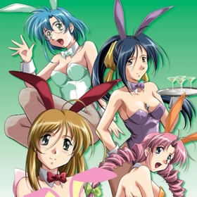 Do You Like Horny Bunnies? apk download for android