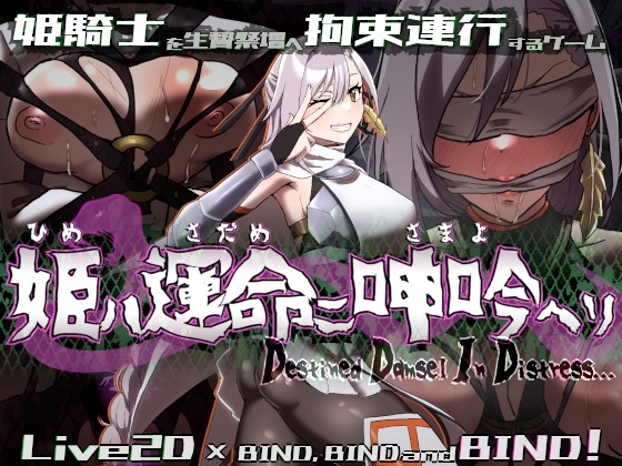 Bound by Destiny Download